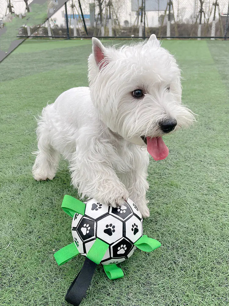 Dog Football Toys